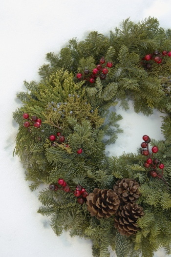 Christmas Ornamental Elements on White Backgrounds 72xJPG