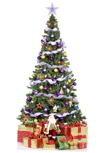 Christmas Ornamental Elements on White Backgrounds 72xJPG