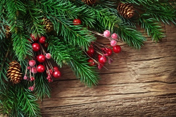 Vintage Christmas Greeting Backgrounds 22xJPG