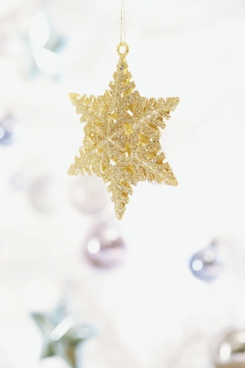 Christmas Backgorunds & Objects #2, 50xJPG