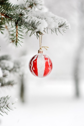 Christmas Backgorunds & Objects #3, 50xJPG