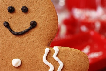 Christmas Backgorunds & Objects #1, 50xJPG