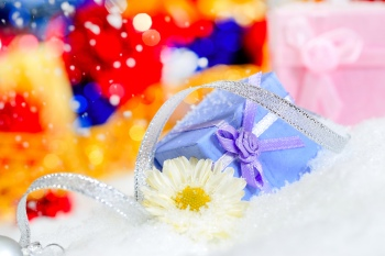 Christmas Backgorunds & Objects #4, 50xJPG