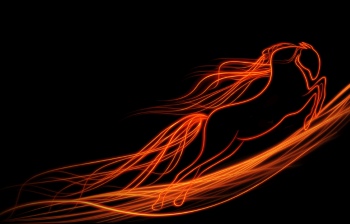 Horse Collection 40xJPG