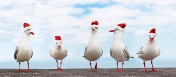 Xmas Collection 2026 HQ 67xJPG