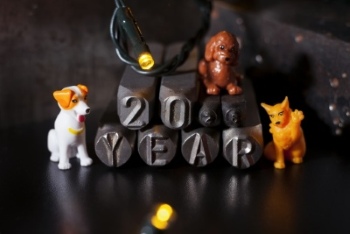 Xmas Collection 2026 HQ 67xJPG