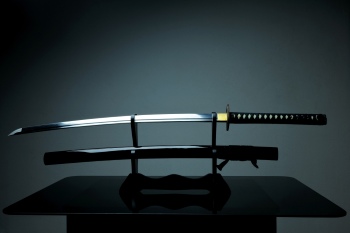 Japanese Sword Katana Blade 25xJPG