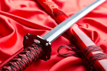 Japanese Sword Katana Blade 25xJPG