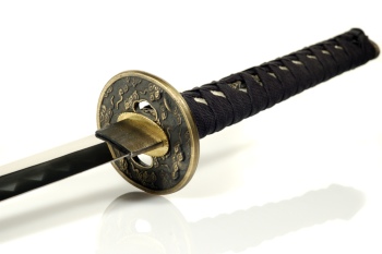 Japanese Sword Katana Blade 25xJPG