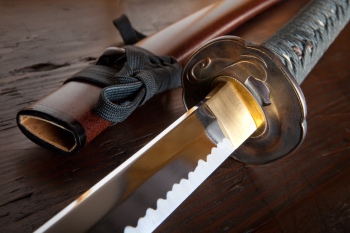 Japanese Sword Katana Blade 25xJPG