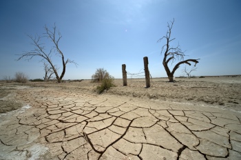 Wanderlust #1, 25xJPG