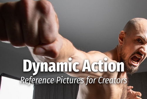 Pose & Reference Pack 800+