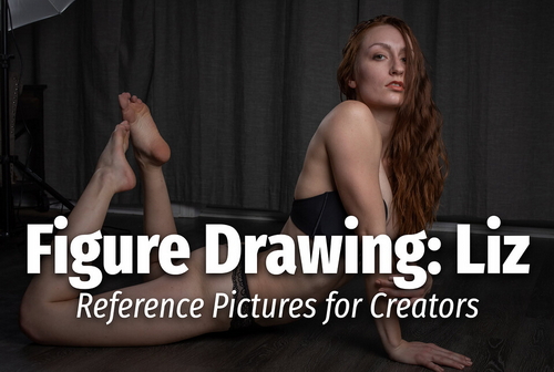 Pose & Reference Pack 800+