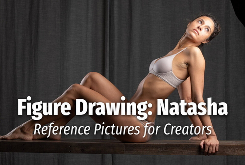 Pose & Reference Pack 800+