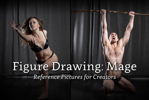 Pose & Reference Pack 800+
