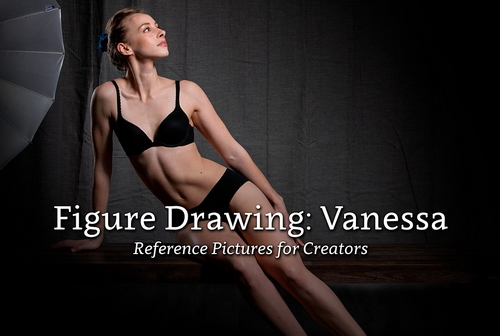 Pose & Reference Pack 800+