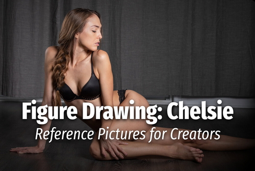 Pose & Reference Pack 800+