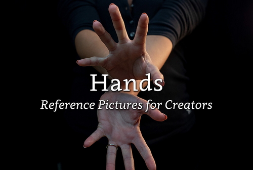 Pose & Reference Pack 800+