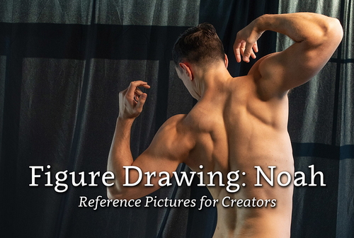 Pose & Reference Pack 800+