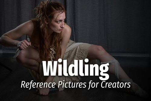 Pose & Reference Pack 800+