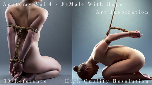 Pose & Reference Pack 800+