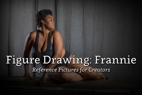 Pose & Reference Pack 800+