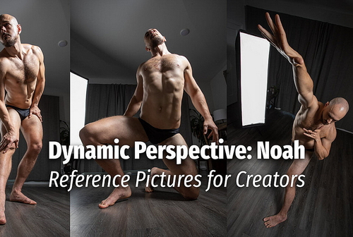Pose & Reference Pack 800+