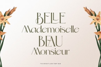 The Bright Lake Font Duo + Logos 6317435 The Bright Lake Font Duo + Logos 6317435