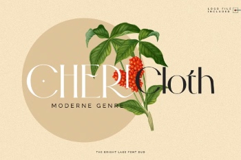 The Bright Lake Font Duo + Logos 6317435 The Bright Lake Font Duo + Logos 6317435