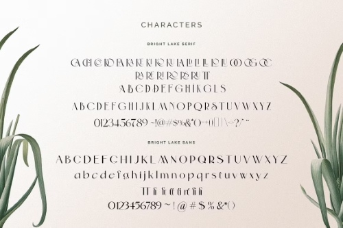 The Bright Lake Font Duo + Logos 6317435 The Bright Lake Font Duo + Logos 6317435