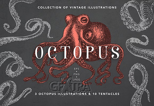 Octopus Vintage Collection 6563509 Octopus Vintage Collection 6563509
