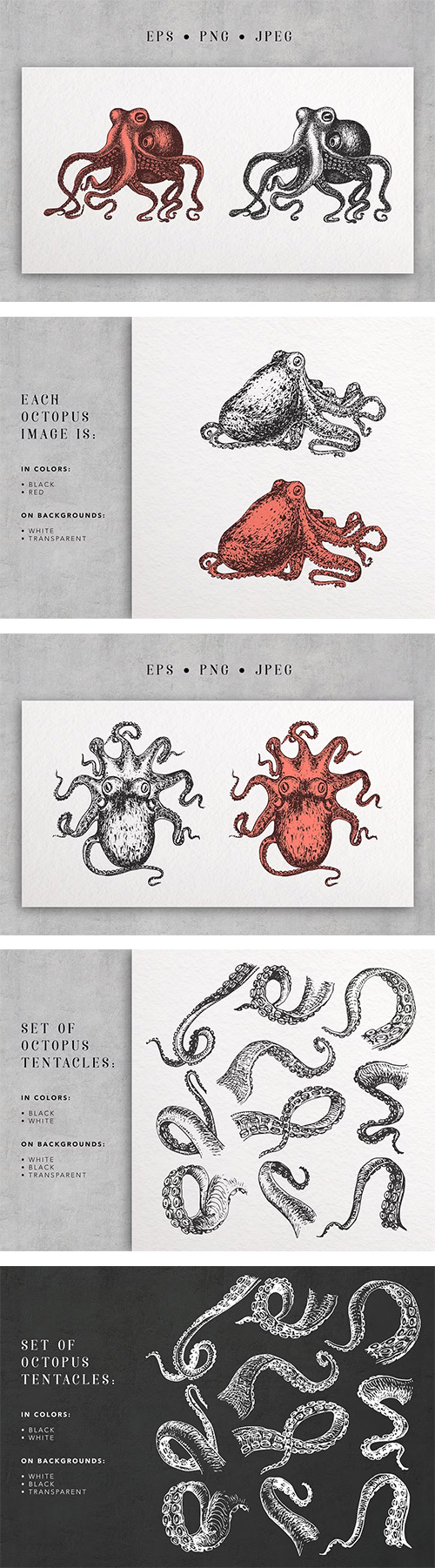 Octopus Vintage Collection 6563509 Octopus Vintage Collection 6563509