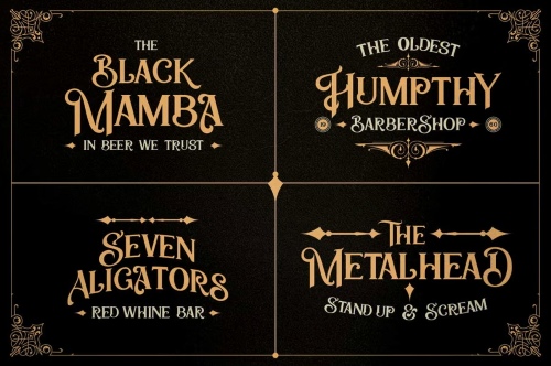 Zailander - Vectorian Vintage Font