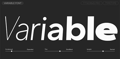 TT Norms Pro - 102 Styles + 2 Variable Fonts Family v4.100 2026