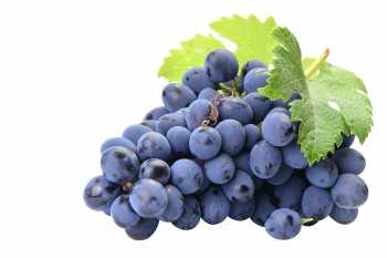 Grapes & Vineyards 18xPNG, 17xJPEG
