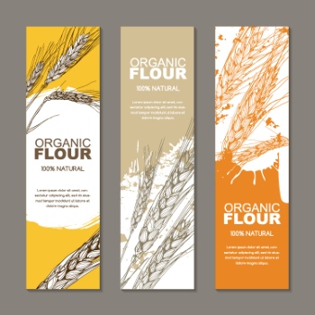 Wheat & Bread Templates 28xAI