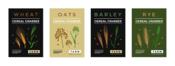 Wheat & Bread Templates 28xAI