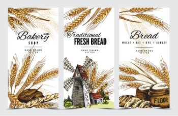 Wheat & Bread Templates 28xAI