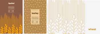 Wheat & Bread Templates 28xAI