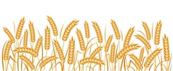 Wheat Abstracts 22xAI, 7xSVG Wheat Abstracts 22xAI, 7xSVG