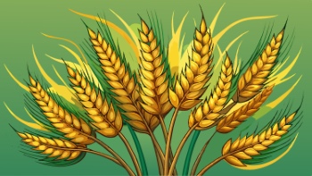 Wheat Abstracts 22xAI, 7xSVG Wheat Abstracts 22xAI, 7xSVG