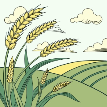 Wheat Abstracts 22xAI, 7xSVG Wheat Abstracts 22xAI, 7xSVG