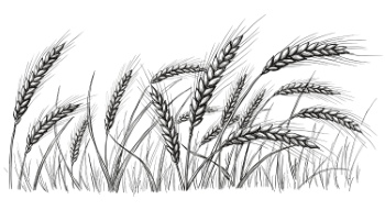 Wheat Abstracts 22xAI, 7xSVG Wheat Abstracts 22xAI, 7xSVG
