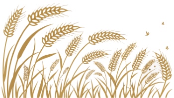 Wheat Abstracts 22xAI, 7xSVG Wheat Abstracts 22xAI, 7xSVG