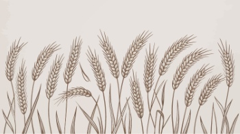 Wheat Abstracts 22xAI, 7xSVG Wheat Abstracts 22xAI, 7xSVG