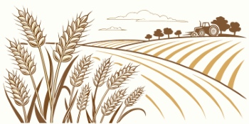 Wheat Abstracts 22xAI, 7xSVG Wheat Abstracts 22xAI, 7xSVG