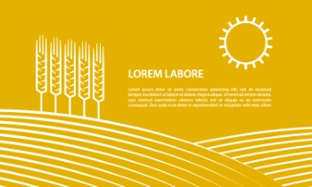 Wheat Abstracts 22xAI, 7xSVG Wheat Abstracts 22xAI, 7xSVG
