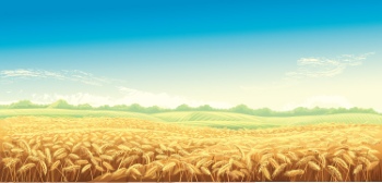 Wheat Abstracts 22xAI, 7xSVG Wheat Abstracts 22xAI, 7xSVG