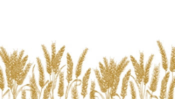 Wheat Abstracts 22xAI, 7xSVG Wheat Abstracts 22xAI, 7xSVG
