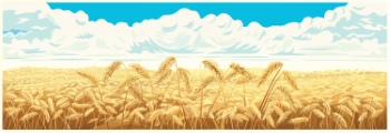 Wheat Abstracts 22xAI, 7xSVG Wheat Abstracts 22xAI, 7xSVG